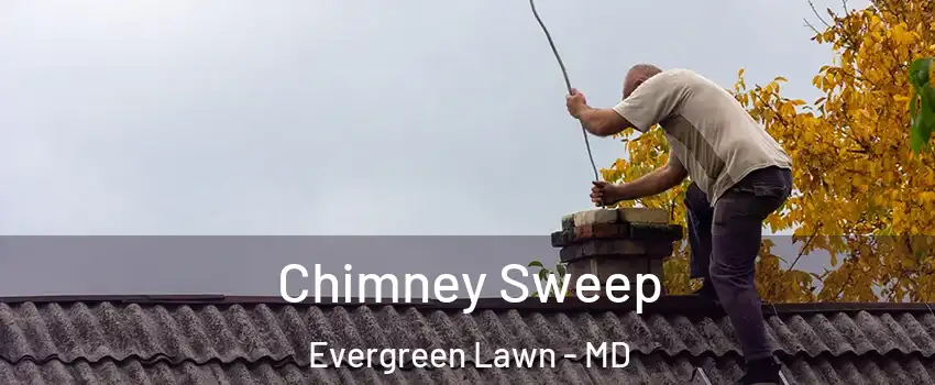 Chimney Sweep Evergreen Lawn - MD
