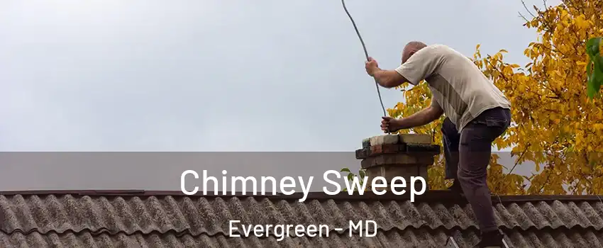 Chimney Sweep Evergreen - MD
