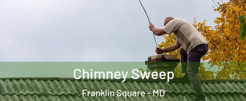 Chimney Sweep Franklin Square - MD