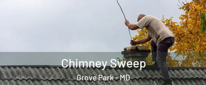 Chimney Sweep Grove Park - MD