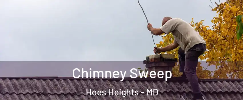 Chimney Sweep Hoes Heights - MD