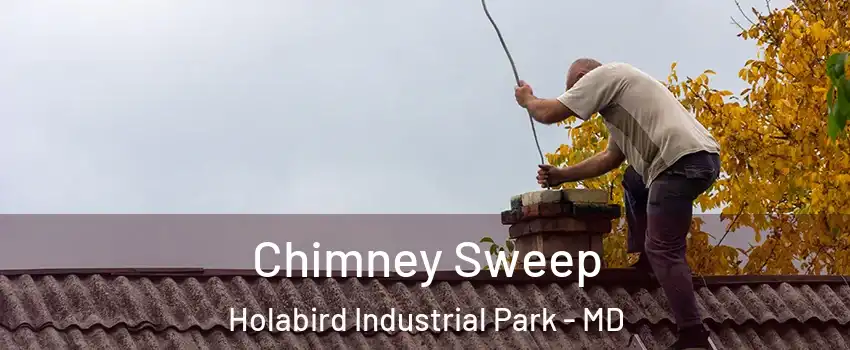 Chimney Sweep Holabird Industrial Park - MD