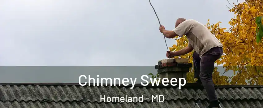 Chimney Sweep Homeland - MD