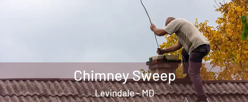 Chimney Sweep Levindale - MD