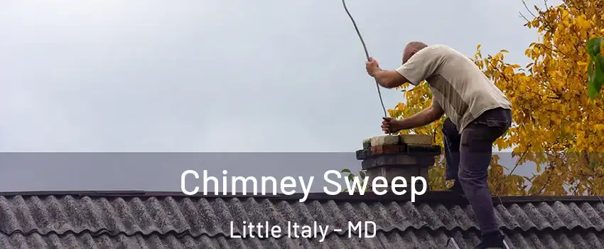 Chimney Sweep Little Italy - MD