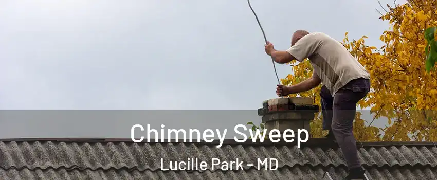 Chimney Sweep Lucille Park - MD