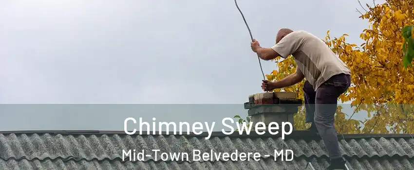 Chimney Sweep Mid-Town Belvedere - MD