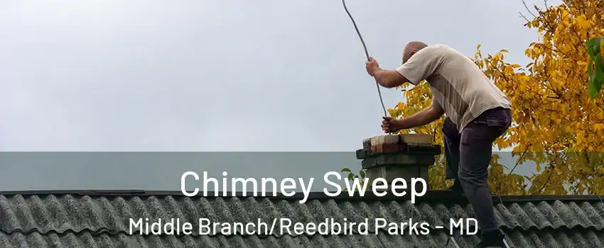 Chimney Sweep Middle Branch/Reedbird Parks - MD
