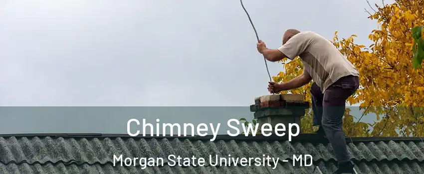 Chimney Sweep Morgan State University - MD