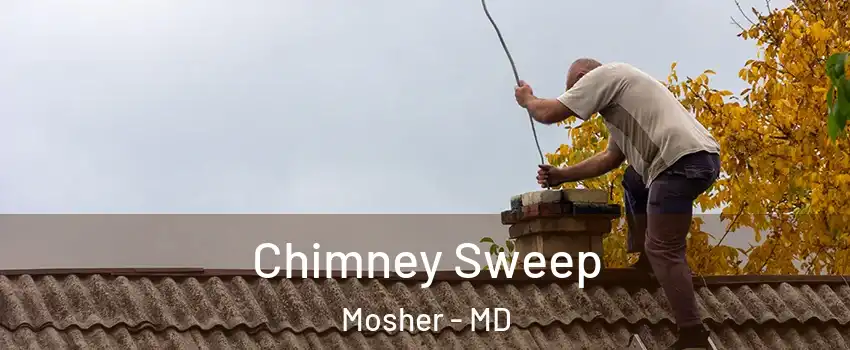 Chimney Sweep Mosher - MD