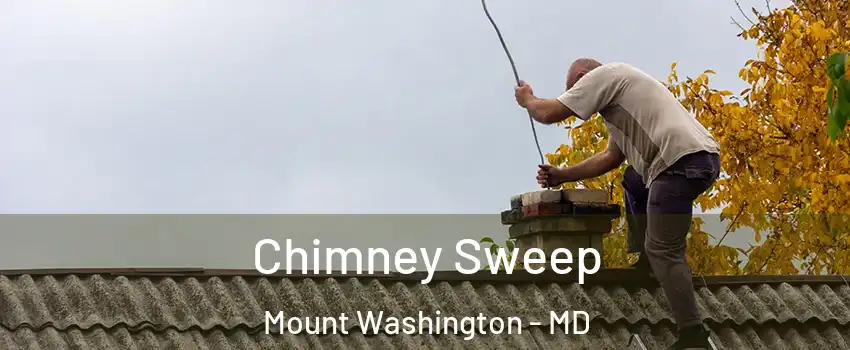 Chimney Sweep Mount Washington - MD