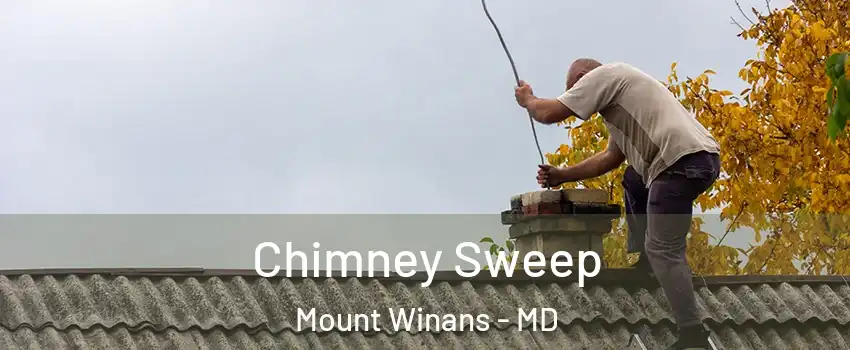 Chimney Sweep Mount Winans - MD