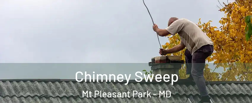 Chimney Sweep Mt Pleasant Park - MD