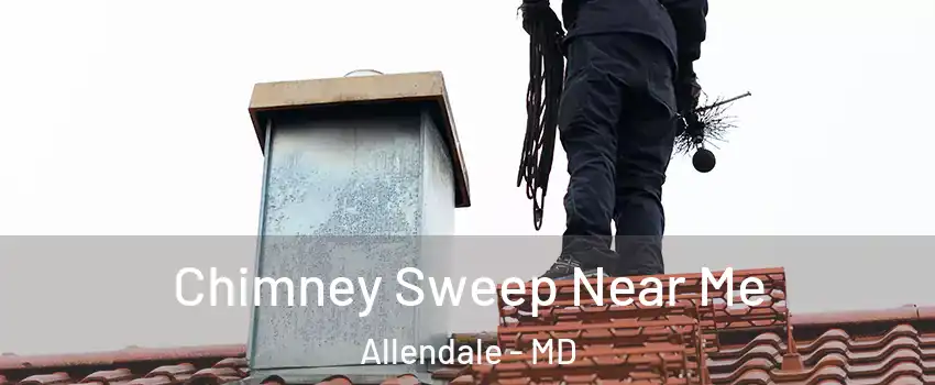 Chimney Sweep Near Me Allendale - MD