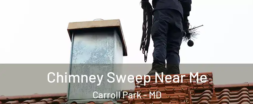 Chimney Sweep Near Me Carroll Park - MD