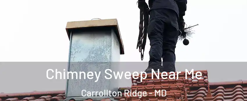 Chimney Sweep Near Me Carrollton Ridge - MD