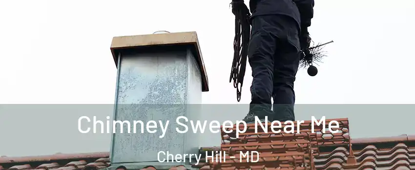 Chimney Sweep Near Me Cherry Hill - MD