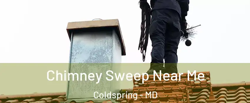 Chimney Sweep Near Me Coldspring - MD