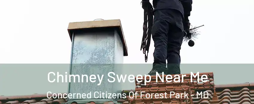 Chimney Sweep Near Me Concerned Citizens Of Forest Park - MD