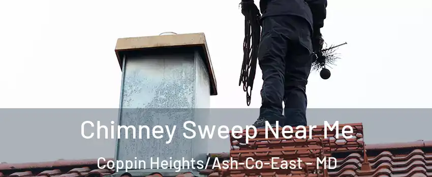 Chimney Sweep Near Me Coppin Heights/Ash-Co-East - MD