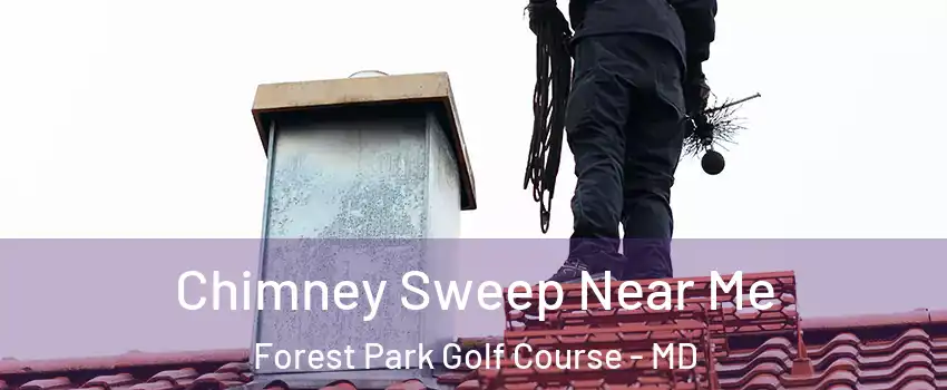 Chimney Sweep Near Me Forest Park Golf Course - MD
