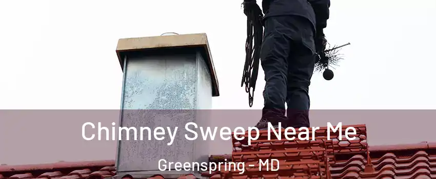 Chimney Sweep Near Me Greenspring - MD