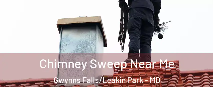 Chimney Sweep Near Me Gwynns Falls/Leakin Park - MD