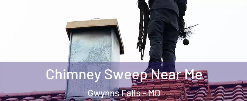 Chimney Sweep Near Me Gwynns Falls - MD