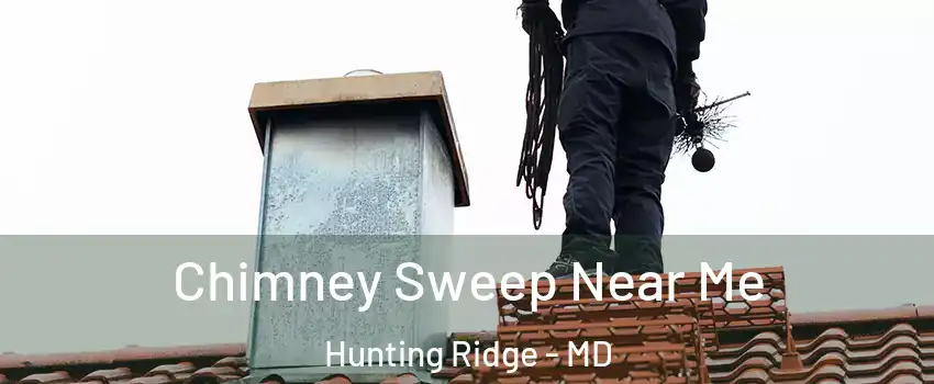 Chimney Sweep Near Me Hunting Ridge - MD