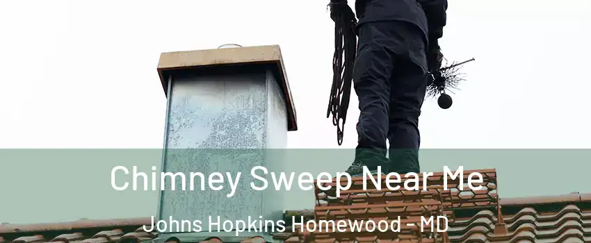 Chimney Sweep Near Me Johns Hopkins Homewood - MD