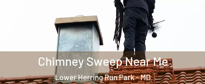 Chimney Sweep Near Me Lower Herring Run Park - MD