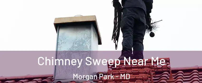 Chimney Sweep Near Me Morgan Park - MD