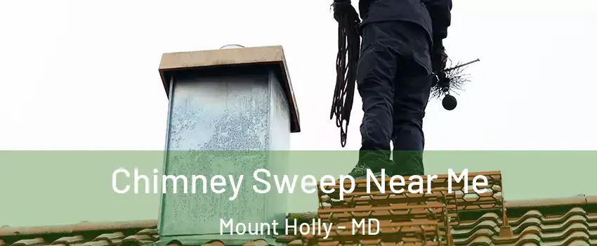 Chimney Sweep Near Me Mount Holly - MD