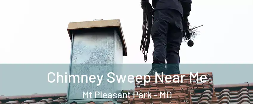 Chimney Sweep Near Me Mt Pleasant Park - MD