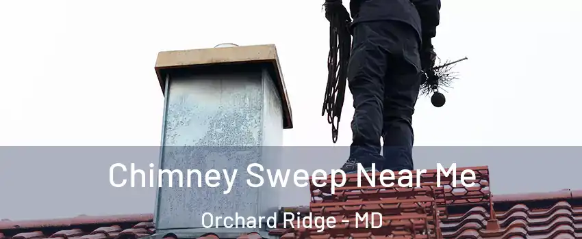 Chimney Sweep Near Me Orchard Ridge - MD