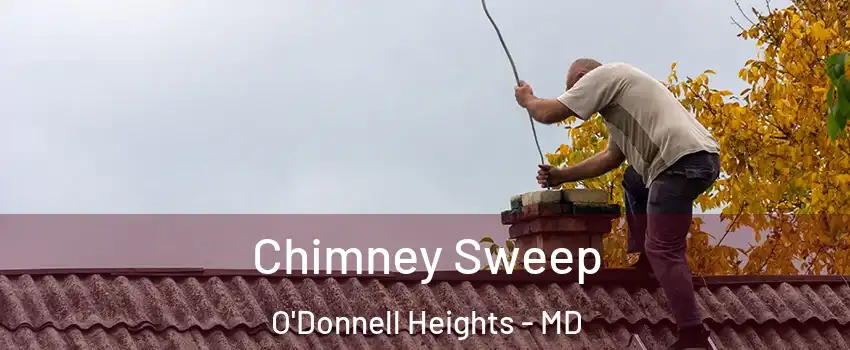 Chimney Sweep O'Donnell Heights - MD