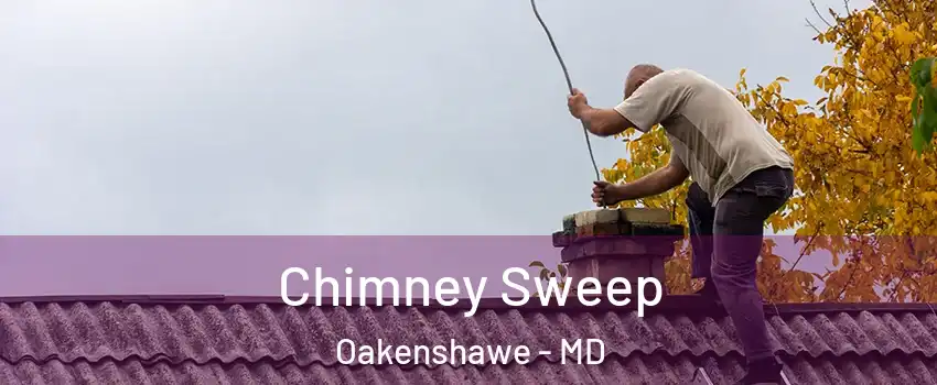 Chimney Sweep Oakenshawe - MD