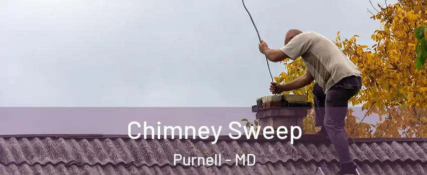 Chimney Sweep Purnell - MD