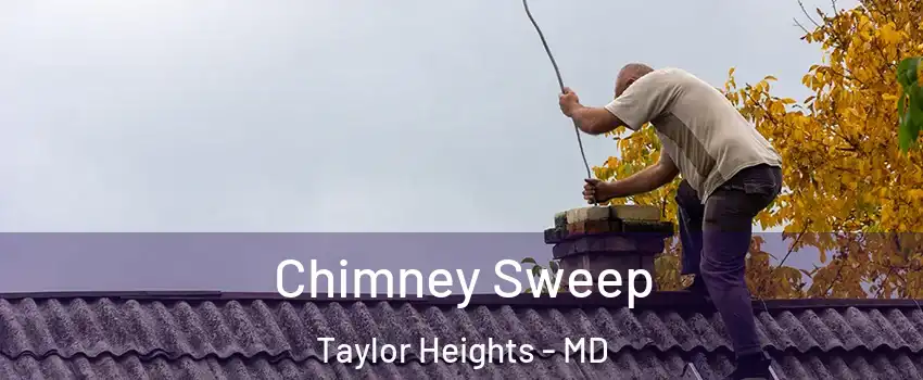 Chimney Sweep Taylor Heights - MD