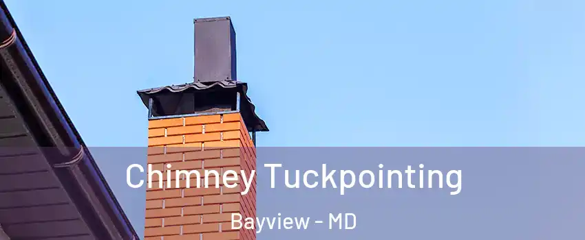 Chimney Tuckpointing Bayview - MD