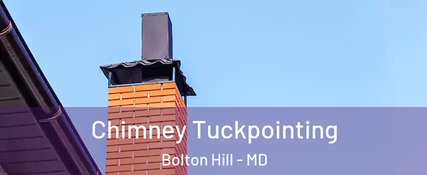 Chimney Tuckpointing Bolton Hill - MD