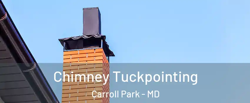 Chimney Tuckpointing Carroll Park - MD