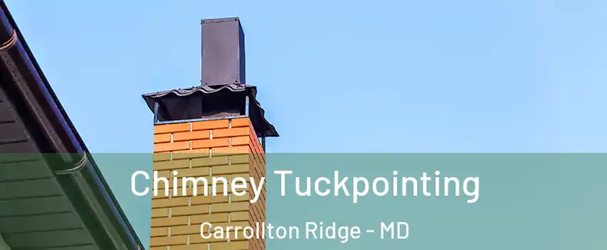 Chimney Tuckpointing Carrollton Ridge - MD