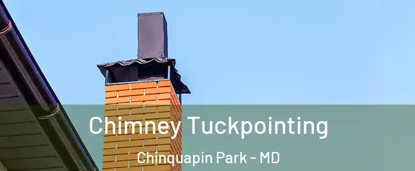Chimney Tuckpointing Chinquapin Park - MD