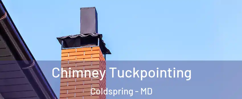 Chimney Tuckpointing Coldspring - MD