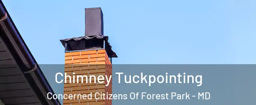 Chimney Tuckpointing Concerned Citizens Of Forest Park - MD