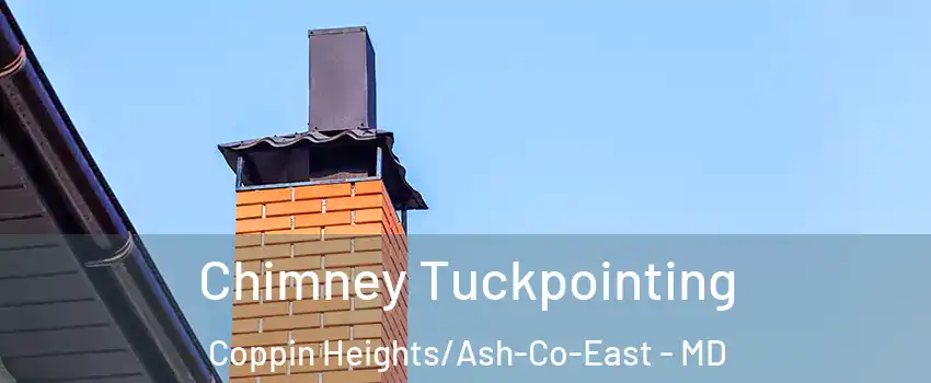 Chimney Tuckpointing Coppin Heights/Ash-Co-East - MD