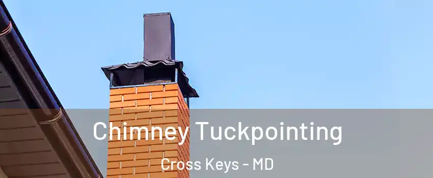 Chimney Tuckpointing Cross Keys - MD