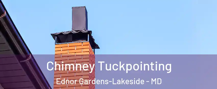 Chimney Tuckpointing Ednor Gardens-Lakeside - MD