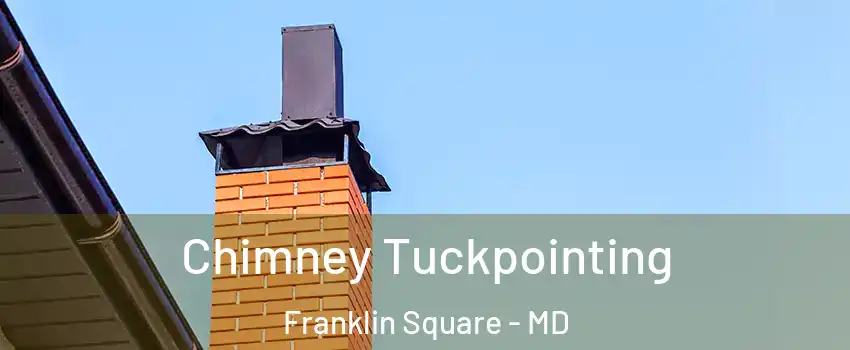 Chimney Tuckpointing Franklin Square - MD